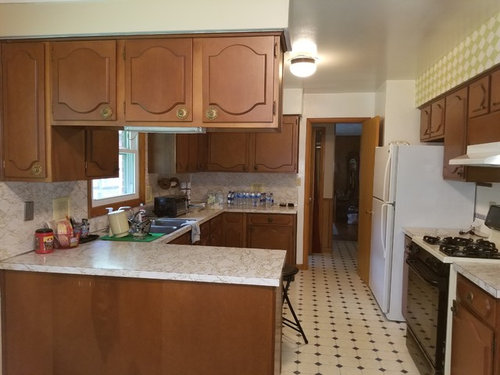 Kitchen Cabinet Doors Replace Sand And Paint