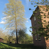 Foto von Madeline Gottemoeller