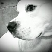 Kerri Moore's photo