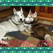 Foto von Darla Schlitter Eilers