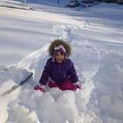 Greg Dusik's photo