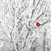 Lana Gorbunova's photo