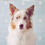 Carmen Morgado's photo