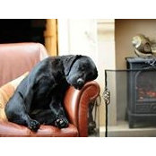 Curtis Dunne's photo