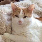 Paula Witham's photo