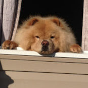 Foto von Patty Henderson