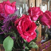 Joan Dorman's photo