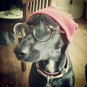 Frances Tinsley's photo