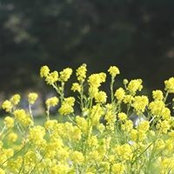 Thu Vo's photo