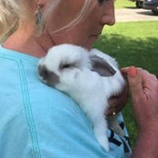 Peggy Hoover's photo