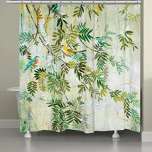 shower curtain