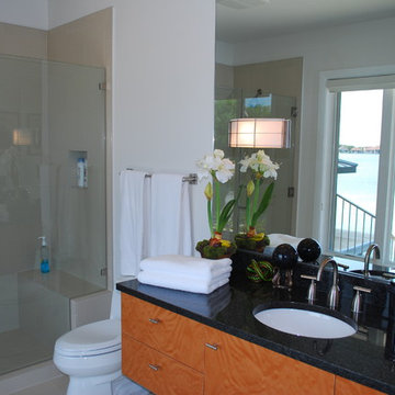 Contemporary- Whole House Remodel