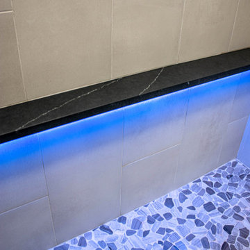 Tiled Shower with Lighted Shower Ledge and Free Standing Tub
