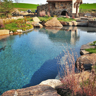 フィラデルフィアの大きいオーダーメイドラスティックスタイルのおしゃれなプール (天然石敷き) の写真