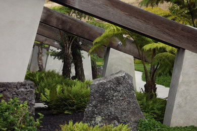 Example of a minimalist exterior home design in Hawaii