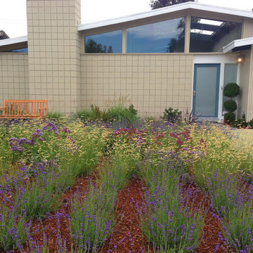 Sunnyvale Eichler planting design