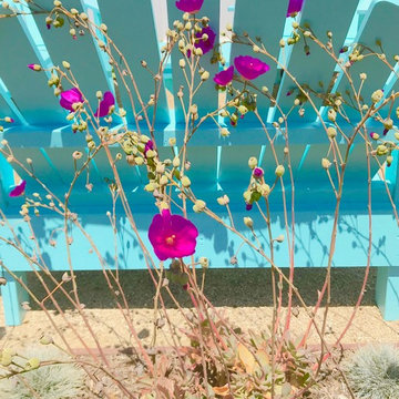 Contemporary Farm House landscape-Newport Beach