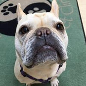 Matt Hickey's photo