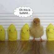 Cynthia Ruf's photo