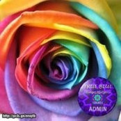 Foto de Amanda Parsons Crustner
