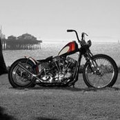 Shane Gilliland's photo