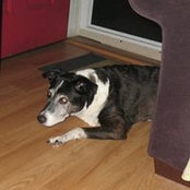 Peggy Sinclair's photo