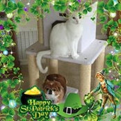 Sally Beck Stegner's photo
