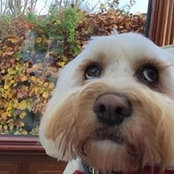 Jill Young's photo