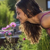 Northern Beaches Garden Care's photo