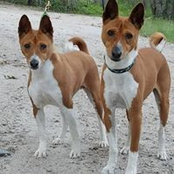 Debbie Konicki's photo