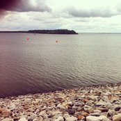 elcid_stricklandii's photo