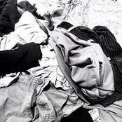 Attila Schwarze's photo