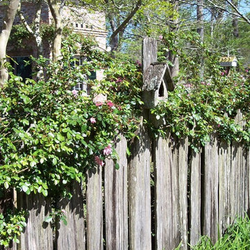 Lafayette Traditional Louisiana Landscape
