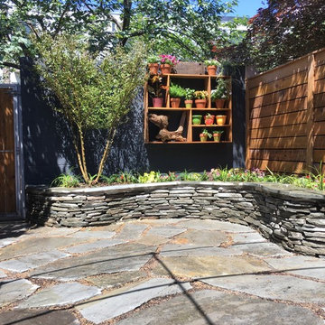 Southwest DC Back Garden Makeover