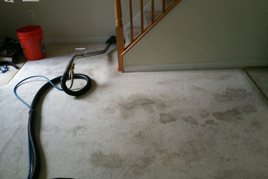 Sunbird Carpet Cleaning Annandale | Carpet Cleaning Annandale