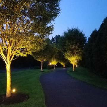 Cohesion, Contrast and Control Captures this Corridor of Light