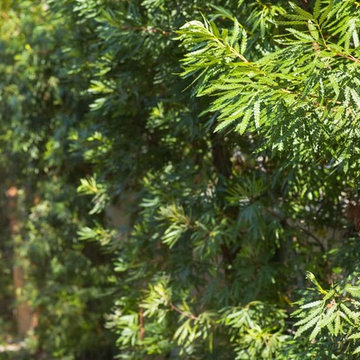 2018 Native Plant Garden Tour