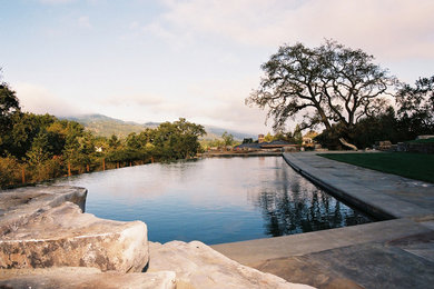 Pool - contemporary pool idea in San Francisco