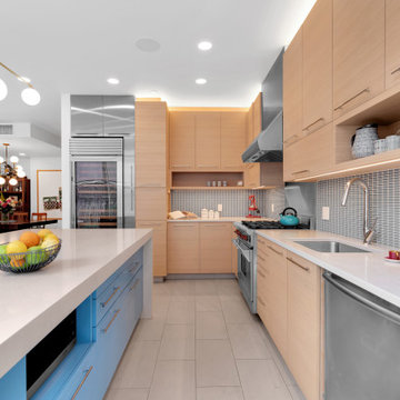 Tribeca Penthouse Full Gut Renovation