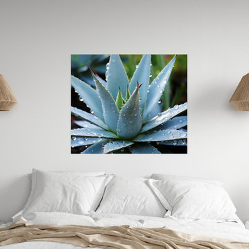 A Reminder of Beauty Photorealistic Digital Artwork Boho Style Wall Art
