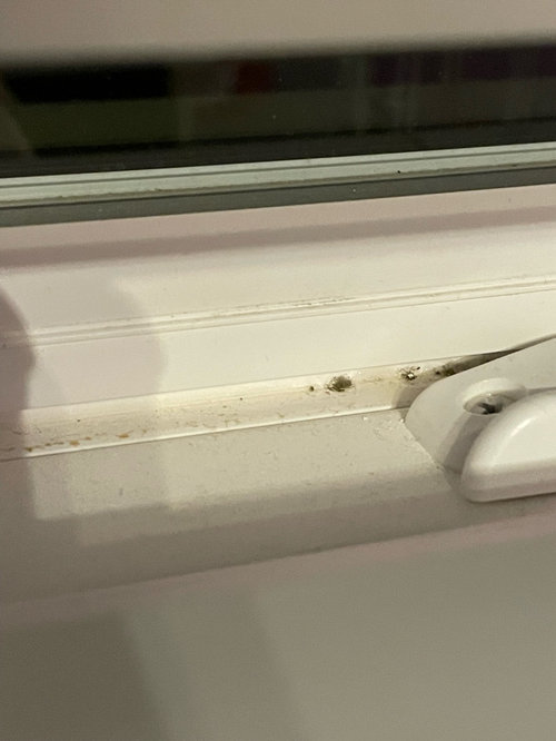 Windows are leaking when it rains, not sure what’s the root cause.
