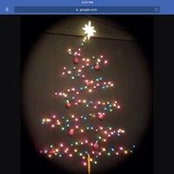 Bonnie Nottingham's photo