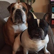 Beth Petch Tschop's photo