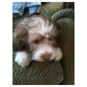 Paula Cordle's photo