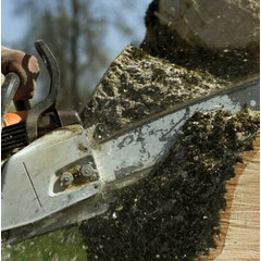 Estrada Tree Service Inc