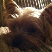 LeAnne Jaenisch's photo
