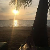 Karine Teixera's photo