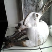 Bruno Deroulede's photo