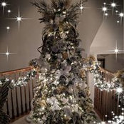 Bernadette Casciato's photo