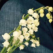 Photo de Jill Eagono